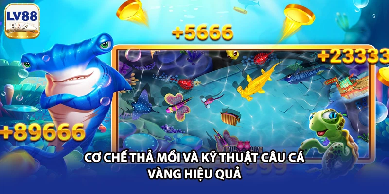 Cơ chế thả mồi và kỹ thuật câu cá vàng hiệu quả